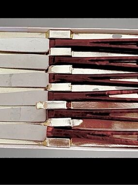 Vintage MCM Stanley Deluxe Steak Knife Set with Atomic Design Lucite Handles NIB
